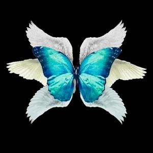 SLOWLY (feat. IamRxge) (Explicit)