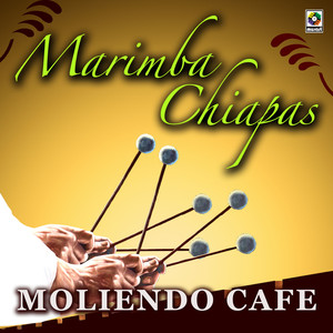 Moliendo Café