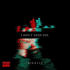 I  Don't Need You (Explicit)