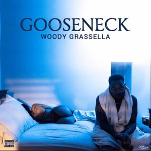 Gooseneck (Explicit)