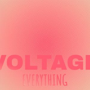 Voltage Everything