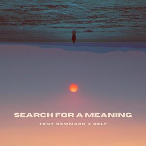 Search For A Meaning