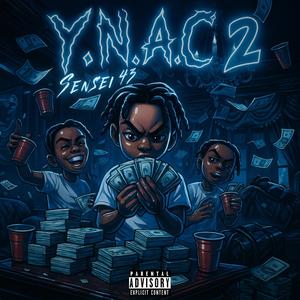 43 Investments (Explicit)