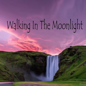 Walking In The Moonlight
