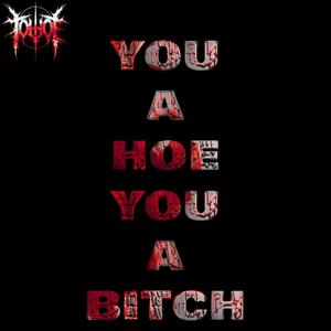 You a hoe, You a ***** (Explicit)