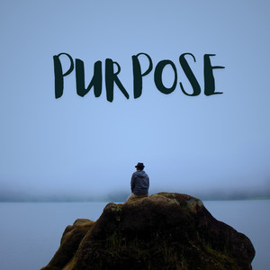 Purpose