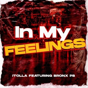 IN MY FEELINGS (feat. Bronx PB) [Explicit]