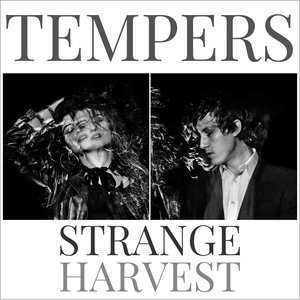 Strange Harvest - Single