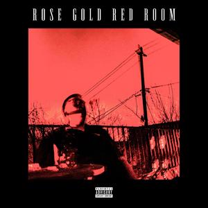 Rose Gold Red Room (Explicit)