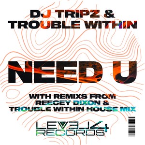 Need U (Trouble Within House Mix)