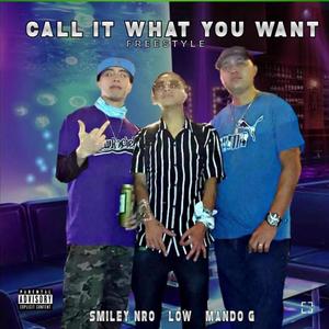 Call it what you want (Freestyle) (feat. Mando G & Smiley NRO) (Explicit)