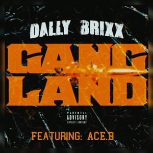 Gang Land (feat. Bluemoney -Bizzy) [Explicit]