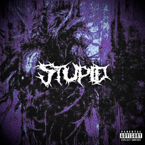 Stupid (Explicit)