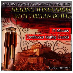 Nature Sounds: Inspiring Thunderstorms(Bonus Track)