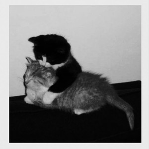 Cho Em Gần Anh Thêm Chút Nữa