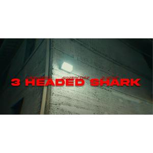 3 Headed Shark (feat. Glockboy Stank & Nardo Drillz) (Explicit)