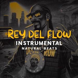 Rey del Flow (Instrumental)