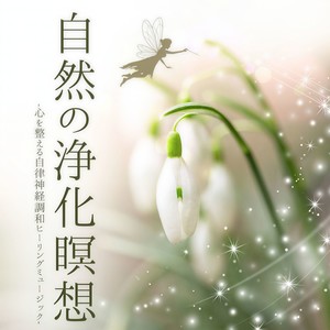 自然の浄化瞑想：心を整える自律神経調和ミュージック・ゆっくり深呼吸森林浴水音サウンド