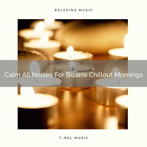 Calm All Noises For Bizarre Chillout Mornings