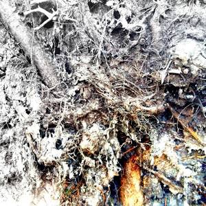 Kim jesteś, po co przyszedłeś