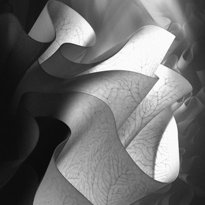 Foreign Beauty (Extended Version)