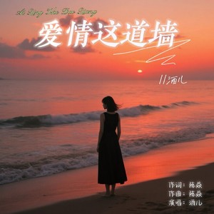 爱情这道墙 (DJ版)