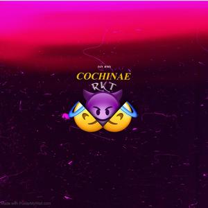 Cochinae RKT (Explicit)
