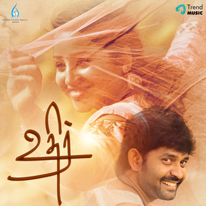 Siragu Tholaitha Paravai