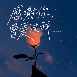 感谢你曾爱过我