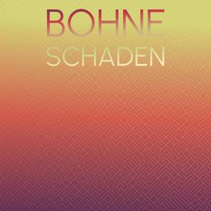 Bohne Schaden