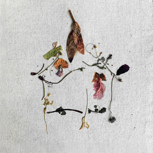 Сегодня я дома (Explicit)