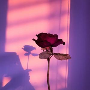 I Can't Forget You (feat. Kayou.) (slowed & reverb)