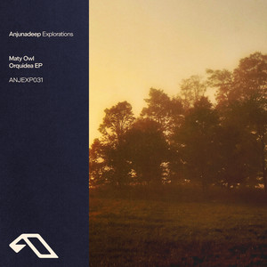 Sounds Like Yellow (Extended Mix)