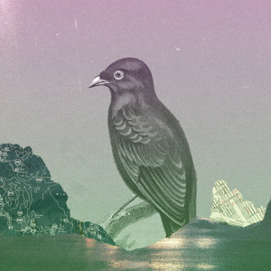 Outta Sight Outta Mind