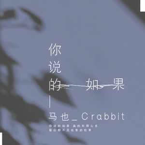 你说的如果 (伴奏)