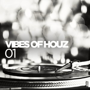 VIBES OF HOUZ 01