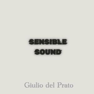 SENSIBLE SOUND