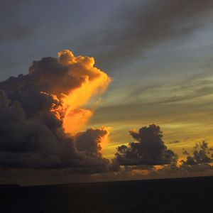 Old Romance (Explicit)