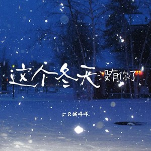 这个冬天没有你了 (2026版)