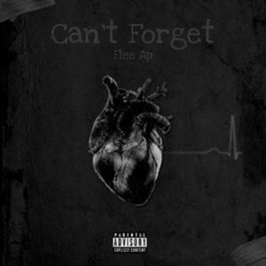 Can't Forget (Explicit)