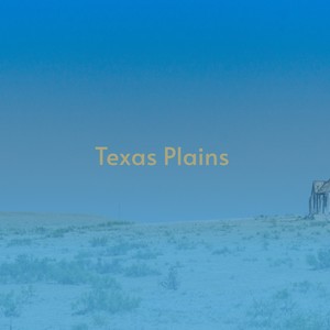 Texas Plains