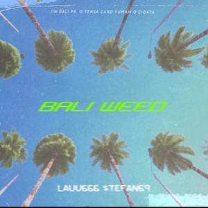 Bali ** (feat. $tefan69) (Explicit)