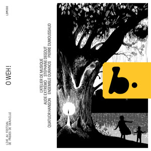 Kindertotenlieder, GMW 45 (Arr. for Voice and Chamber Ensemble by Eberhard Kloke) - No. 5, In diesem Wetter, in diesem Braus (Live)
