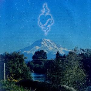 A Snake That Bit My Heart