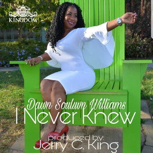 I Never Knew (Jerry C. King C.H.L.P. Mental Mix)