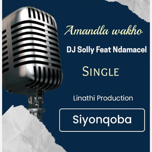 Siyonqoba (Radio Edit)