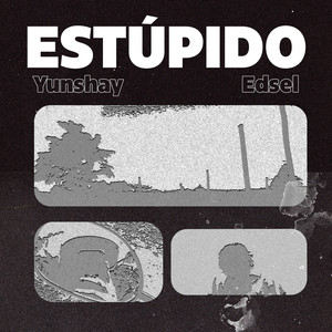 EsTúpido