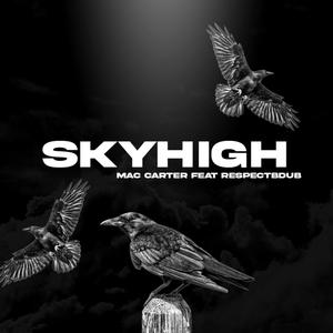 SKYHIGH (feat. Respectbdub) (Explicit)