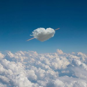 投以木桃，报之琼瑶