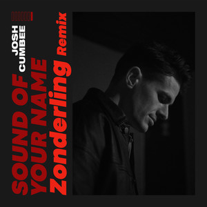 Josh Cumbee - Sound Of Your Name (Zonderling Remix)